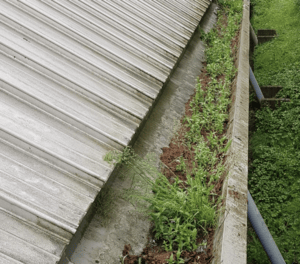 Happy customers in Aylesbury who trust The Roof Moss Cleaners for gutter cleaning services